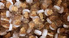 European Union's drug regulator needs to handle shortages of widely used antibiotics according to patients