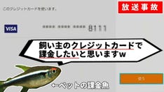 Gaming YouTuber in Japan claims pet fish took over Nintendo Switch, went on shopping spree