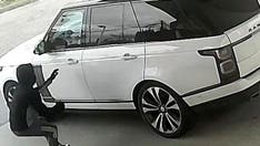 New York woman's dog seriously injured after car thief throws it out of window on freeway