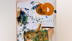 TSA says passenger attempted to bring 'emotional support' boa constrictor snake through security