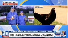 Pennsylvania couple starts ‘Rent the Chicken’ business amid high egg prices in stores