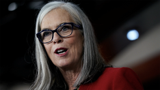 House Democratic leader's daughter arrested for allegedly assaulting police officer, spray-painting monument