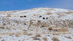 NV lithium mine used in EV production receives $700M conditional loan from US Energy Department