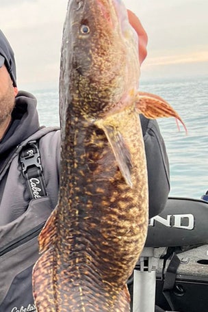 State fishing record BROKEN