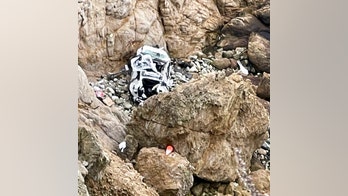 California man intentionally drove Tesla off cliff with another adult, 2 kids in car: authorities