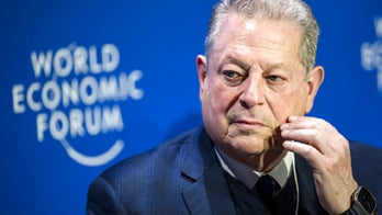 Al Gore says Inflation Reduction Act mainly climate change bill