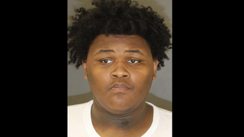 Maryland 18-year-old charged with murdering 8-year-old brother after he traded puppy for shotgun: report