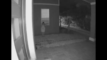 Florida man seen on video 'peeking into' woman's window, fleeing into swamp, police say