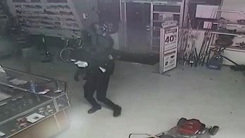 Florida burglars break into pawn shop using saw, steal electronics and jewelry