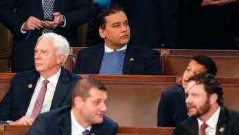 George Santos cosponsors bill to make AR-15 the National Gun of the US