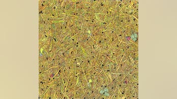 Brain teaser: Can you find the sewing needle in a haystack?