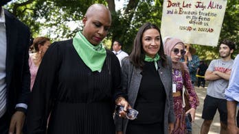 Far-left Dems accused of trying to 'provoke a mob' in NYC: 'Throwing matches in a tinderbox'