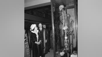 London's 'Irish Giant': Museum wants to remove controversial skeleton display