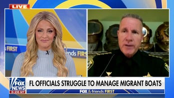 Florida sheriff fires back at Karine Jean-Pierre accusing DeSantis of 'political stunts' on migrant crisis