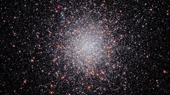 Hubble Space Telescope image captures 'glittering swarm' of stars about 28,000 light-years away