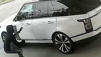 New York woman's dog seriously injured after car thief throws it out of window on freeway