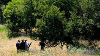 South African tiger injures man, kills dog after escaping from its enclosure