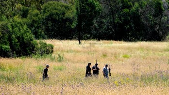 South Africa escaped tiger found and euthanized