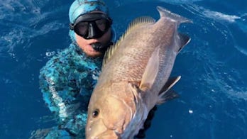 Florida man swept away in shark-infested waters by powerful current details shocking survival