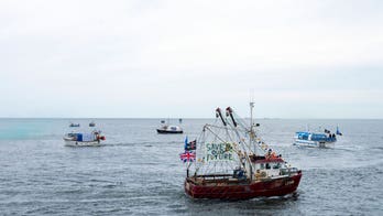 British scientists believe pollution did not cause UK mass crab deaths