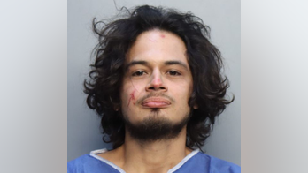 Florida man bites off pet python snake's head in domestic dispute: police