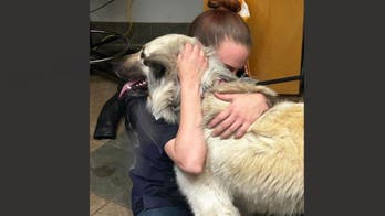 Animal shelter reunites dog with owner who abandoned her due to homelessness: 'Incredible update'