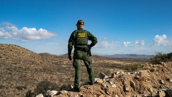 Migrant caught at border claimed to be Hezbollah terrorist, intended to build bomb, sources say