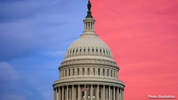 SPLITSVILLE: What can a divided Congress actually deliver? Americans weigh in