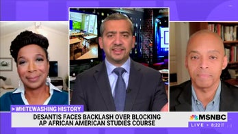 Ivy League professor on MSNBC trashes critical race theory critic as 'fake journalist'
