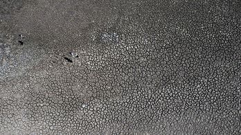 Natural disasters rack up $313 billion in global economic loss in 2022