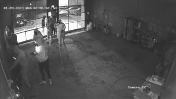 Chicago surveillance video shows 10 thieves breaking in to luxury dealership, stealing sports cars
