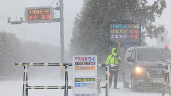 South Korea, Japan face deaths, travel disruptions amid heavy snow storm