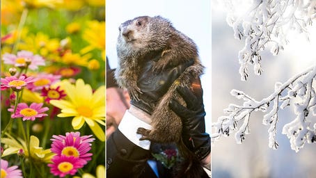 Groundhog Day quiz! How well do you know the facts about this unique day?