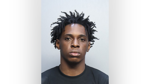 Florida man wearing ankle monitor arrested for burglary and grand theft: reports