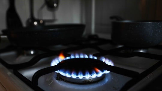 Democratic voters cheer on gas stove ban: poll