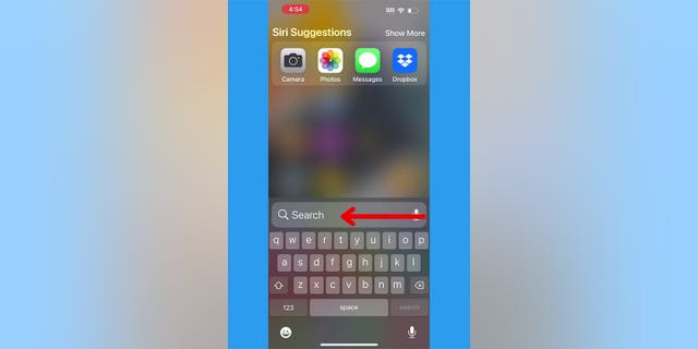 Starten Sie die Suche nach Inhalten auf Ihrem Apple-Gerät, indem Sie die Suchfunktion öffnen.