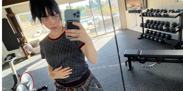 Alamat rumah Billie Eilish dirilis di aplikasi Citizen.