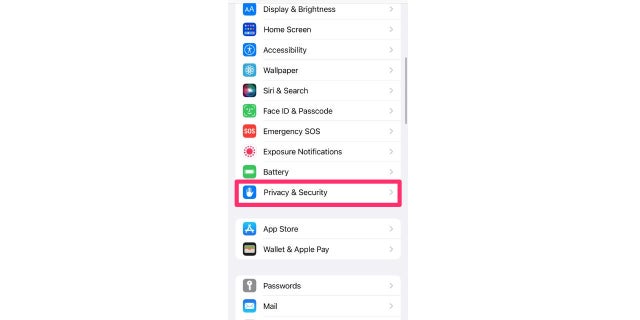 iPhone privacy and security settings