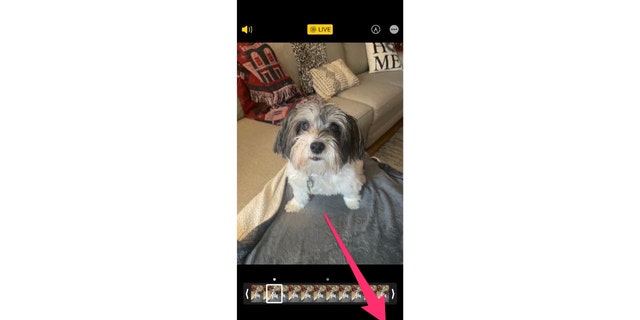 The Key Photo is automatically selected at first, but you can adjust it.