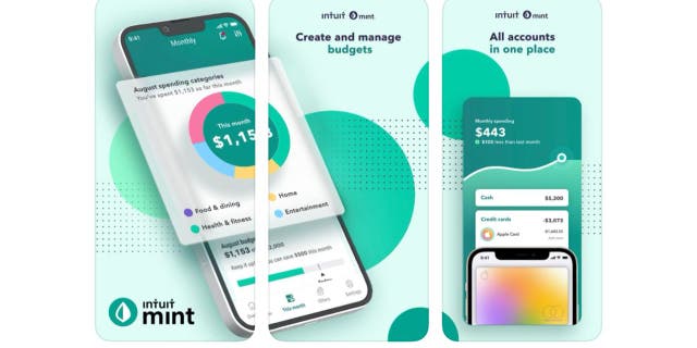 Mint can sync to all kinds of accounts, including checking and savings, credit cards, loans, investments and bills.