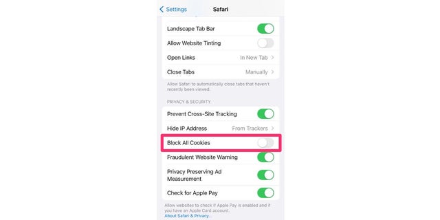 Blokir cookie dari iPhone Anda di Pengaturan Anda.