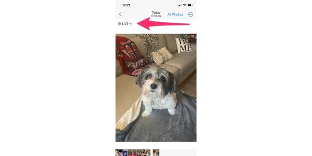 Cara mematikan Tombol Langsung di kamera iPhone Anda.