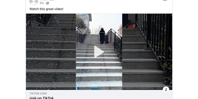 An example of how a TikTok video may appear on Facebook.