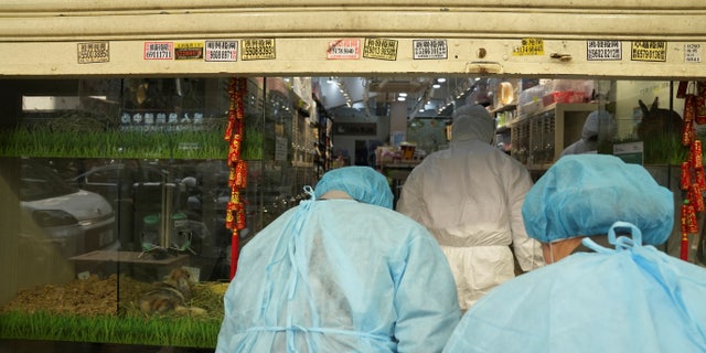 Officers in protective suits enter a closed pet shop after a hamster cull was ordered to curb the COVID-19 outbreak in Hong Kong on Jan. 19, 2022.