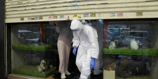 Officers in protective suits leave a closed pet shop after a hamster cull was ordered to curb the COVID-19 outbreak in Hong Kong on Jan. 19, 2022.