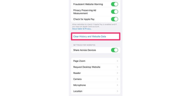 Clear your web history in your iPhone settings.