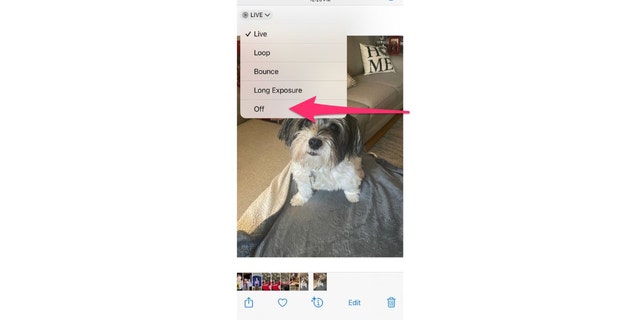 For iPhone photos, follow these simple steps: