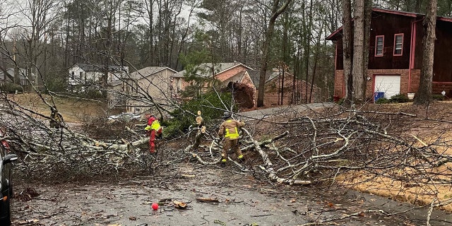 Trees block a road in Austell, Georgia on January 12, 2023.