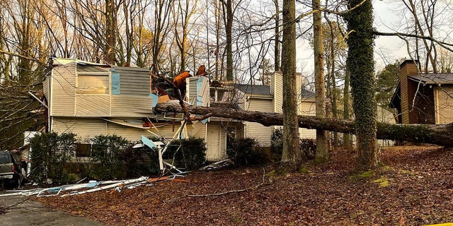 Several residents called for help after power lines went down, trees blocked the road and destroyed homes on January 12, 2023.