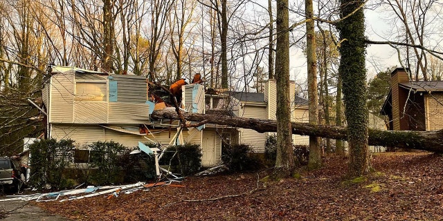 Multiple residents called for assistance after power lines fell down, trees blocked the roadway, and trees crushed homes on Jan. 12, 2023.